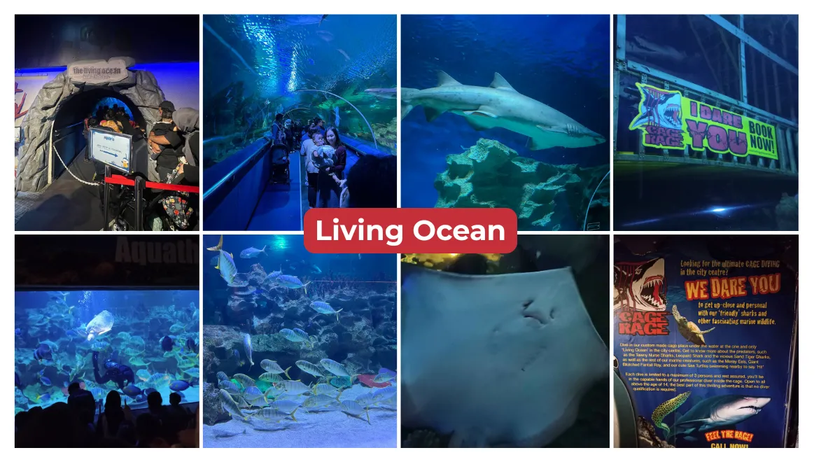 Living Ocean Aquaria KLCC